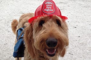 Firefighter Riley Rszd