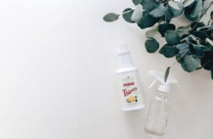 Natural Diy Cleaning Recipes 2