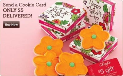 1-2-Spot_SpringCookieCard-2013