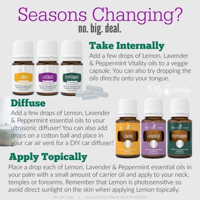 Combating Seasonal Changes Naturally with Essential Oils