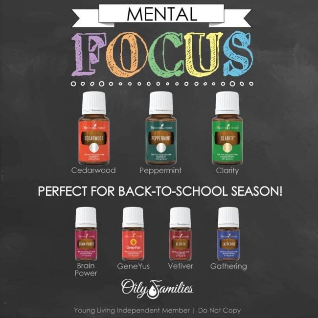 Mental Focus Help for Back to School Mental Focus Help for Back to School