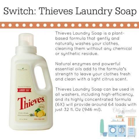 Thieves Laundry Soap Thieves Laundry Soap