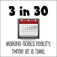 3 in 30 challenge goals