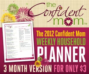 300x250TCM-2012-3monthplanner