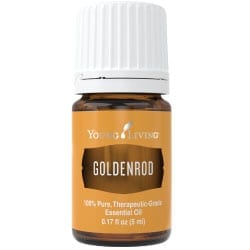 Goldenrod Essential Oil