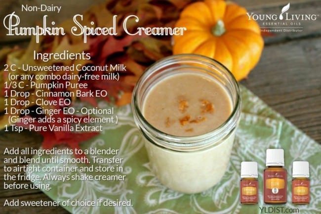 Non-Dairy Pumpkin Spiced Creamer Non-Dairy Pumpkin Spiced Creamer