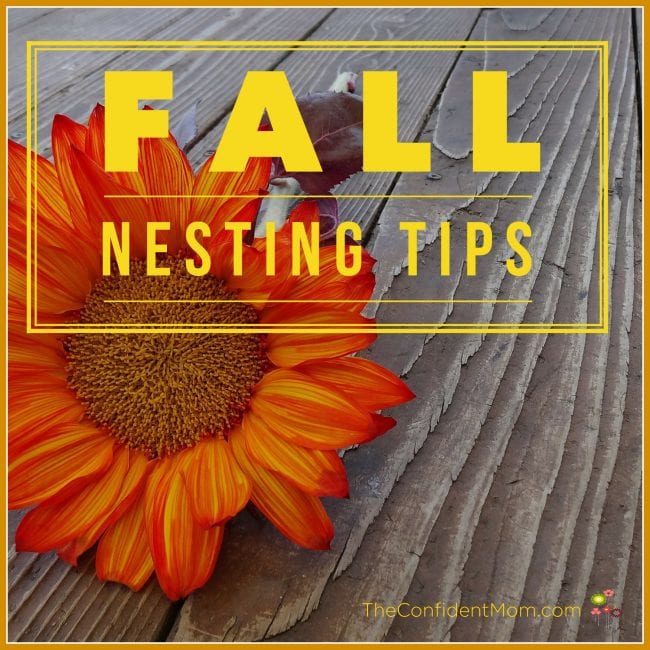 Fall Nesting Tips for Your Home Fall Nesting Tips for Your Home