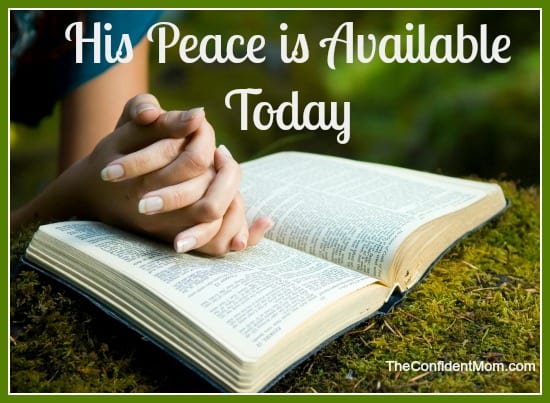 Young woman reading bible by stream in summer