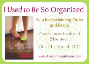 I-Used-To-Be-So-Organized-Study-Main