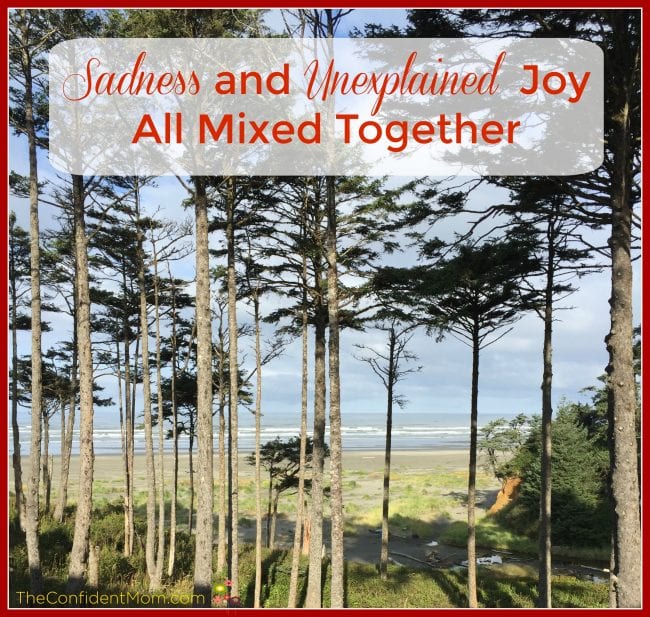 Sadness and Unexplained Joy All Mixed Together Sadness and Unexplained Joy All Mixed Together