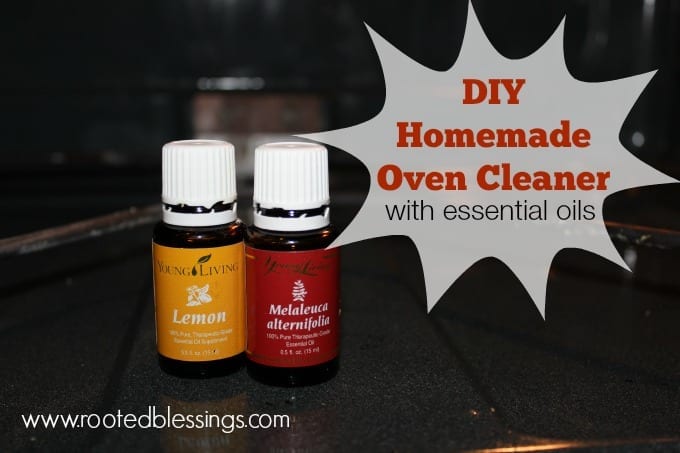 DIY Homemade Oven Cleaner via Rooted Blessings DIY Homemade Oven Cleaner via Rooted Blessings