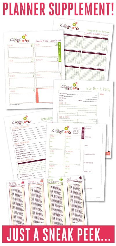 Planner Supplement Planner Supplement