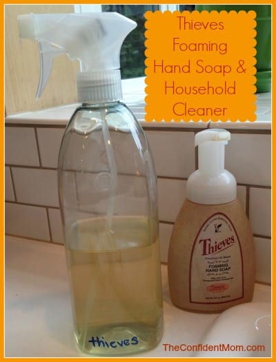 Thieves Cleaners Thieves Cleaners