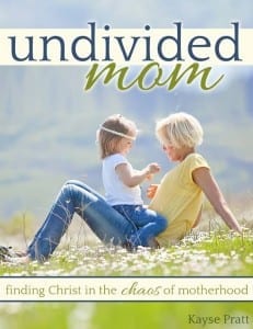 Unidivded-mom-cover