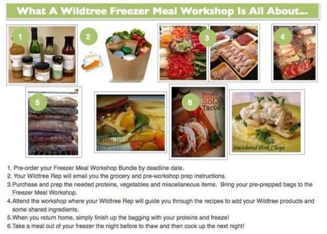 What a Wildtree Freezer Meal Workshop Is All About What a Wildtree Freezer Meal Workshop Is All About
