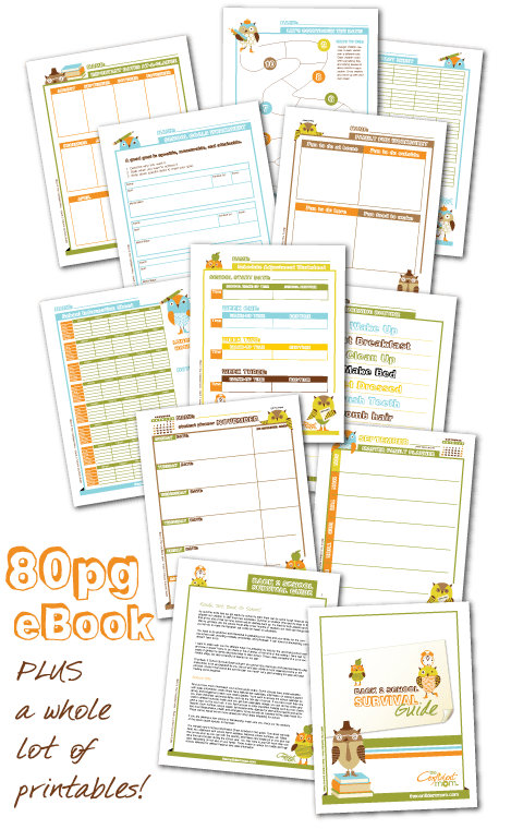 Back 2 School Survival Guide- make that back to school transition easier