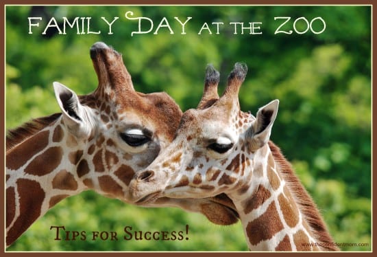 Family Day at the Zoo