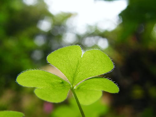 7 Steps to a Better Marriage 7 Steps to a Better Marriage