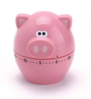 pig timer