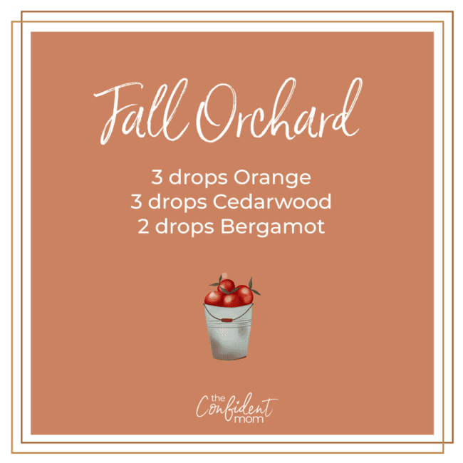 Fall Orchard Fall Orchard Autumn Essential Oil Diffuser Blend
