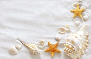 7 Scriptures Worth Memorizing