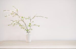 Creating A Haven For Your Family