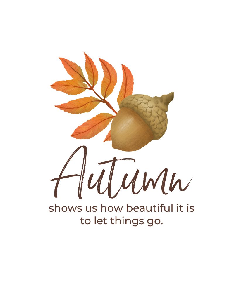 Autumn Let Things Go