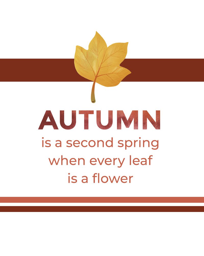 Autumn Second Spring