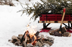 Free Christmas Printables