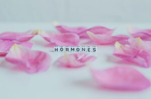 Hormones Blog Rszd